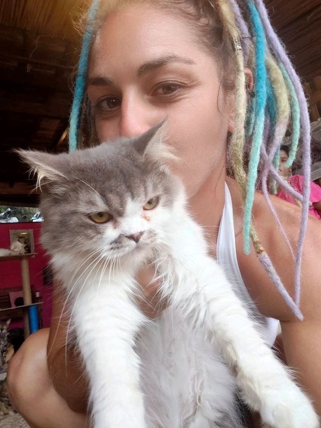 Nusa Lembongan Cat Cafe!