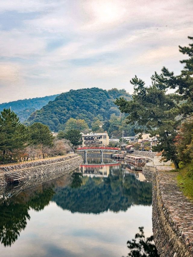 A Perfect Day in Uji: A Matcha Lover's Paradise!🍵