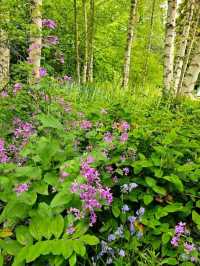 Harris Garden