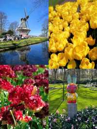 Keukenhof Gardens, literally a paradise for anthophiles & photography buffs! 