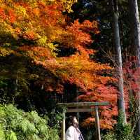 Kyoto không đông đúc - Enkouji Temple