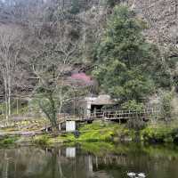 高千穂峡 (Takachiho Gorge, Miyazaki) – 神話が息づく幻想的な渓谷
