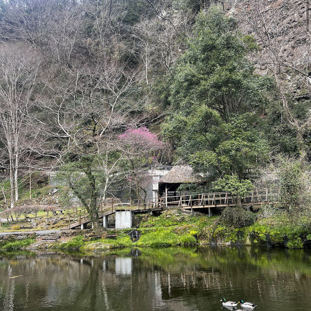 高千穂峡 (Takachiho Gorge, Miyazaki) – 神話が息づく幻想的な渓谷