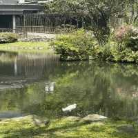 陽明山前山公園