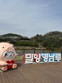 🏯 밀양의 대표 명소, 영남루에 방문하다! 🏯