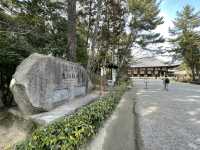 【奈良】鑑真が作った歴史ある寺院・唐招提寺