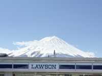 東京追櫻河口湖追富士山
