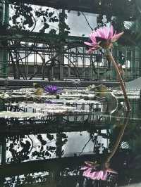 Springtime Bliss at Mizunomori Water Botanical Garden