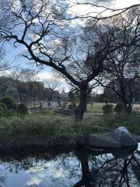 大阪｜城市公園一日遊｜享受自然與文化 🌳🌼