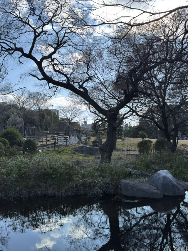 大阪｜城市公園一日遊｜享受自然與文化 🌳🌼