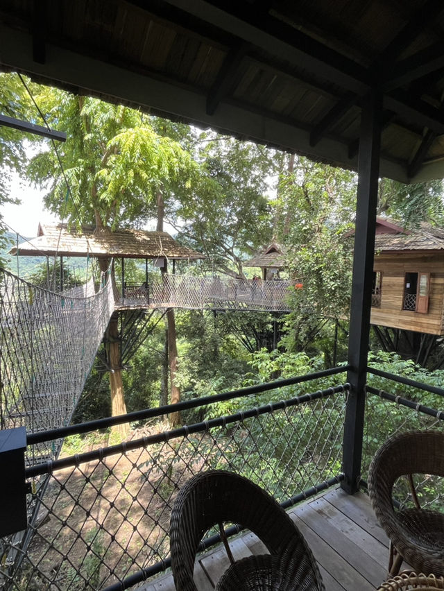 【クアンシーの滝】 🇱🇦 濁流編💦