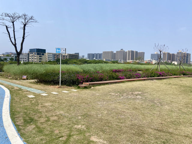 感受大自然的魅力⛰️✨鳳凰山森林公園🧗 