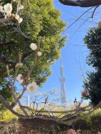 สวนสาธารณะ Sumida Park 