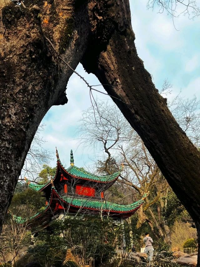 Aiwanting Pavilion 