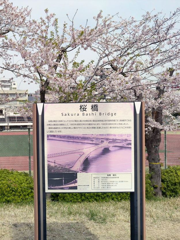 東京景點｜櫻橋