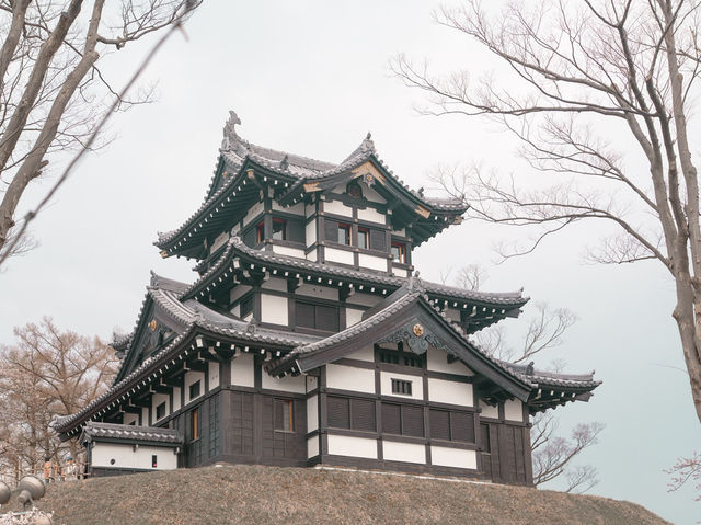 在高田城址公園賞櫻