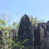 走進另一個世界｜Tsingy De Bemaraha National Park
