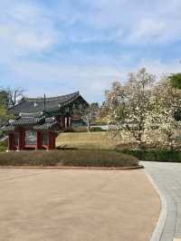 🌷강원도 강릉 여행지 명소 강릉 오죽헌 