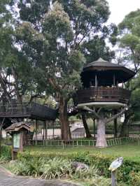 #奧爾森林學堂-桃園市桃園區