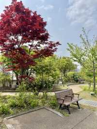 Hidden Spring Gem in the City: Meguro Sky Garden