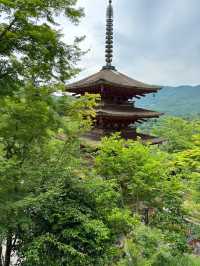 四季折々の花が彩る「長谷寺」へ！階段の先に広がる絶景とご縁結びのご利益を感じて