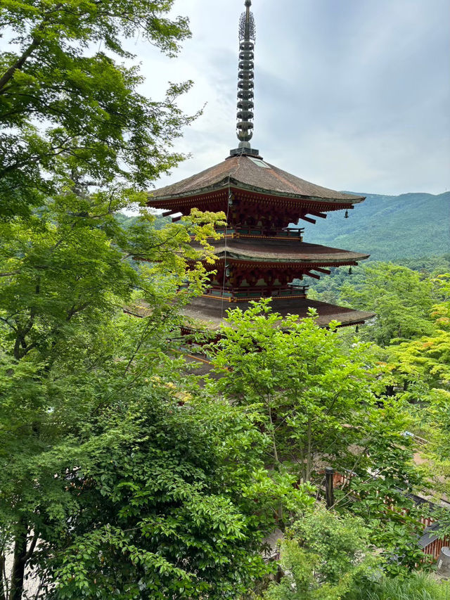 四季折々の花が彩る「長谷寺」へ！階段の先に広がる絶景とご縁結びのご利益を感じて