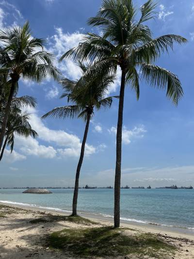 East Coast Park Tickets [2025] Promos, Prices, Reviews Opening