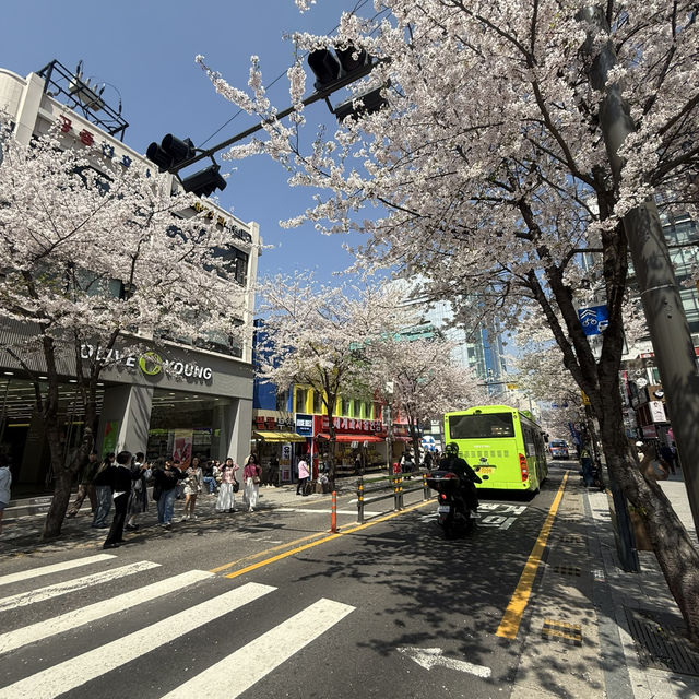 Spring in April 