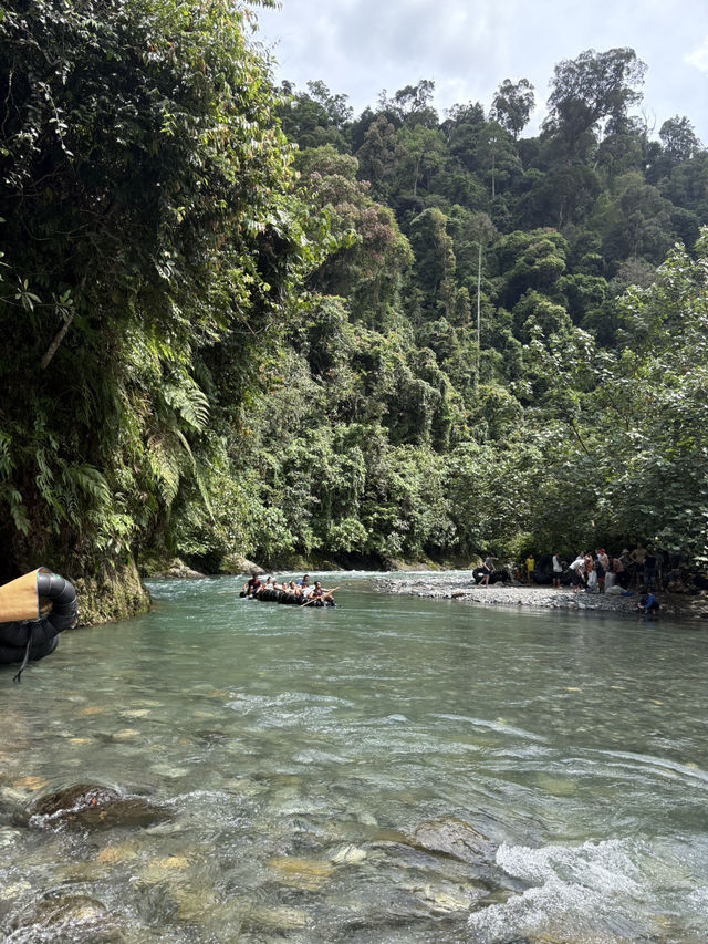 A wicked trip trekking in the jungle! 