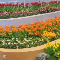แลนด์มาร์คใหม่ ระยอง สวนพรรณไม้เมืองหนาว