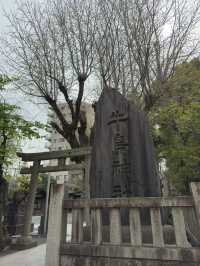 東京｜牛嶋神社的櫻花魅力