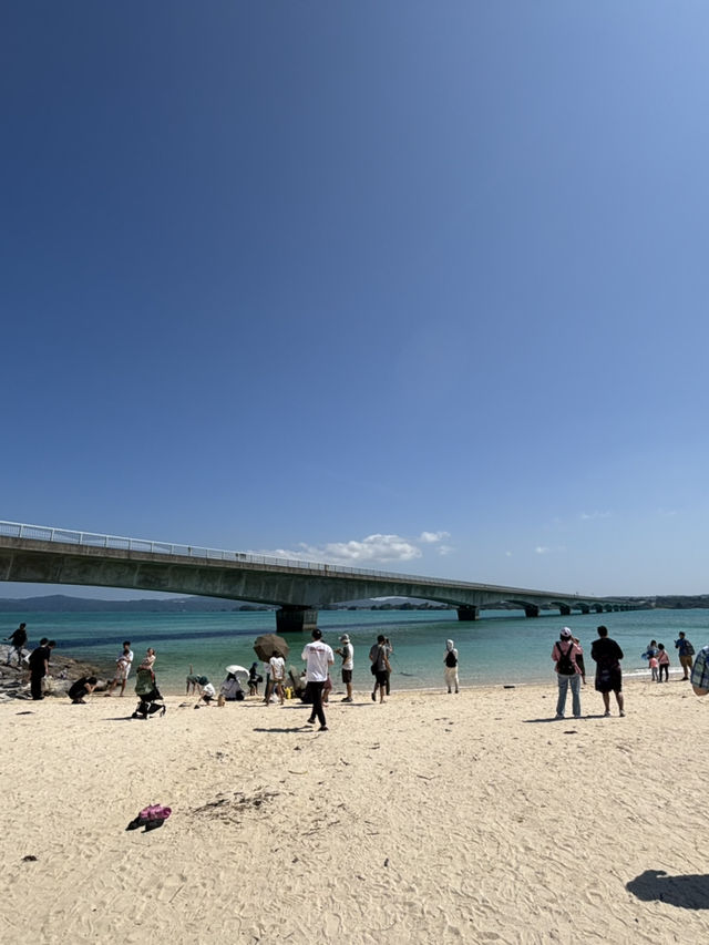 從本島通往戀之島：古宇利大橋的浪漫傳說