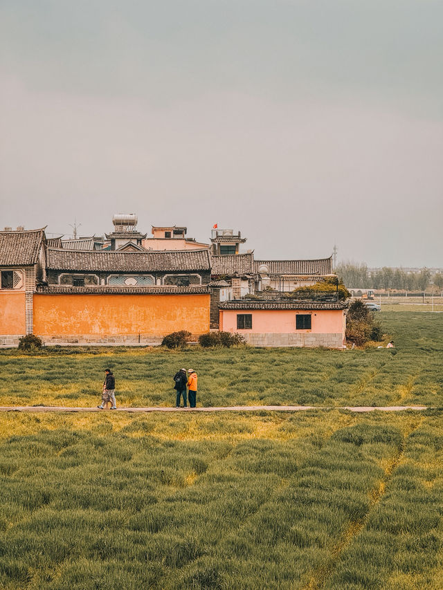 Hidden Gem of Dali: A Perfect Half-Day Escape to Xizhou Ancient Town (喜洲古镇)