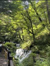 【長野県】軽井沢でマイナスイオンを浴びる🌱