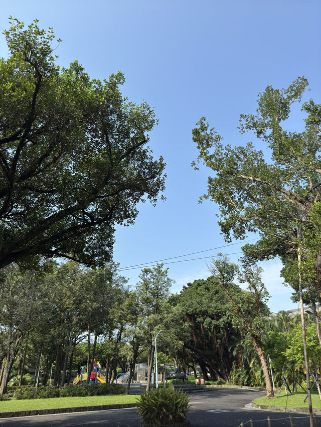 台北｜228和平公園一日遊指南