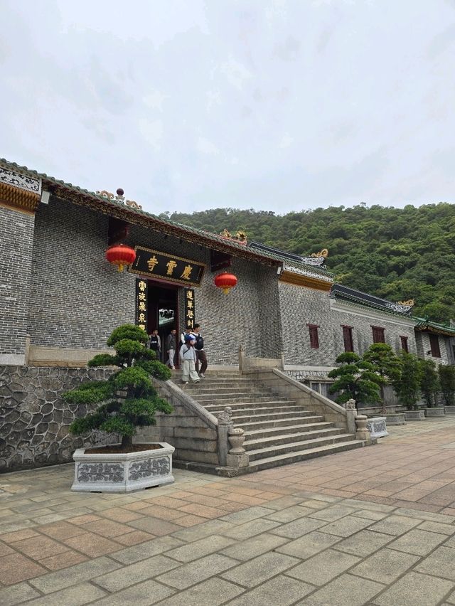 🌿 肇慶鼎湖山：綠色逃亡秘境！🌄
