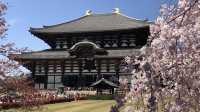 🏯 To-ji Temple: Kyoto’s Towering Beauty & Hidden Surprises 🏯