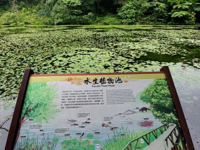 #福山植物園-新北市烏來區