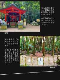 【神社ジャングル海まるごとパワースポットの島】青島