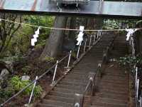 【関東日帰りハイキング】📍大山(神奈川・伊勢原)