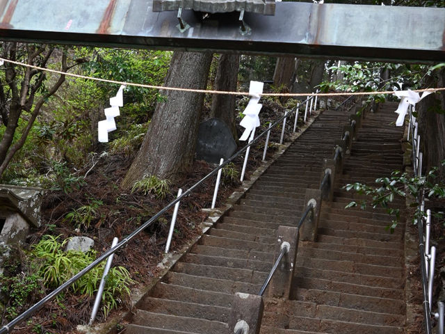 【関東日帰りハイキング】📍大山(神奈川・伊勢原)
