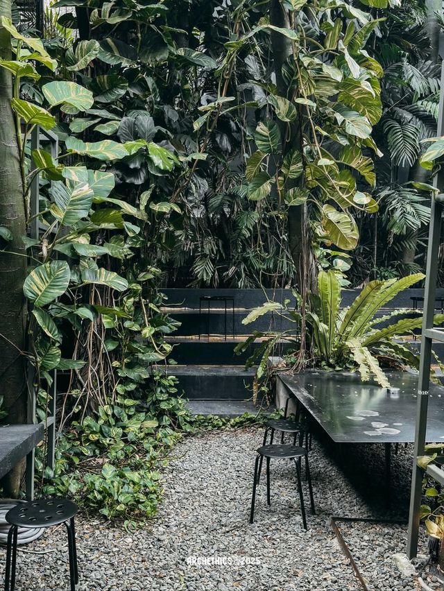 tanata coffee