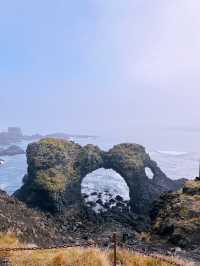 Seals, Soup & Snæfellsnes Wonders – A Magical Day 8 in Iceland!🇮🇸
