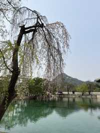 首爾必去之處@景福宮
