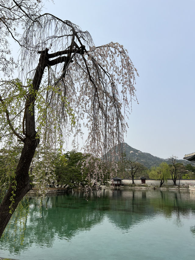 首爾必去之處@景福宮