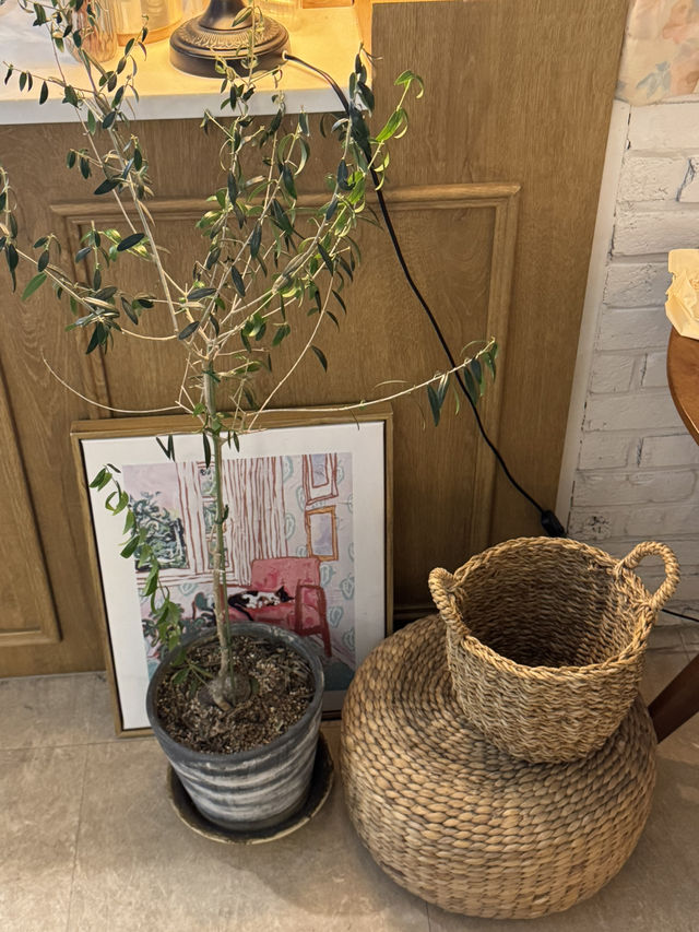 ☕️부산에서 감성 카페를 찾는다면?