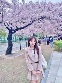 🇰🇷首爾汝矣島賞櫻攻略🌸不藏私路線分享