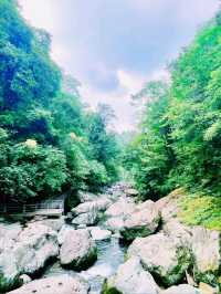 中國四川雅安著名景點：中國桌山，適合打卡拍照📸