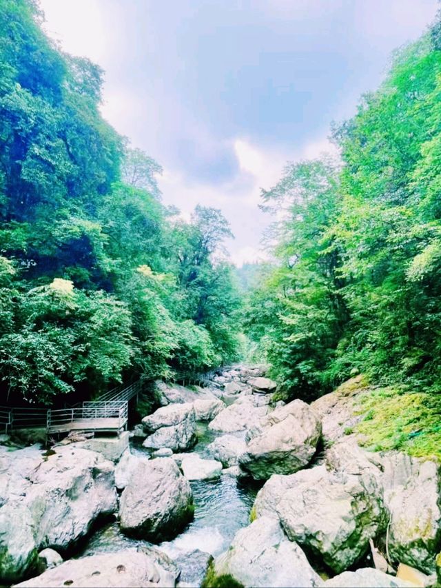 中國四川雅安著名景點：中國桌山，適合打卡拍照📸
