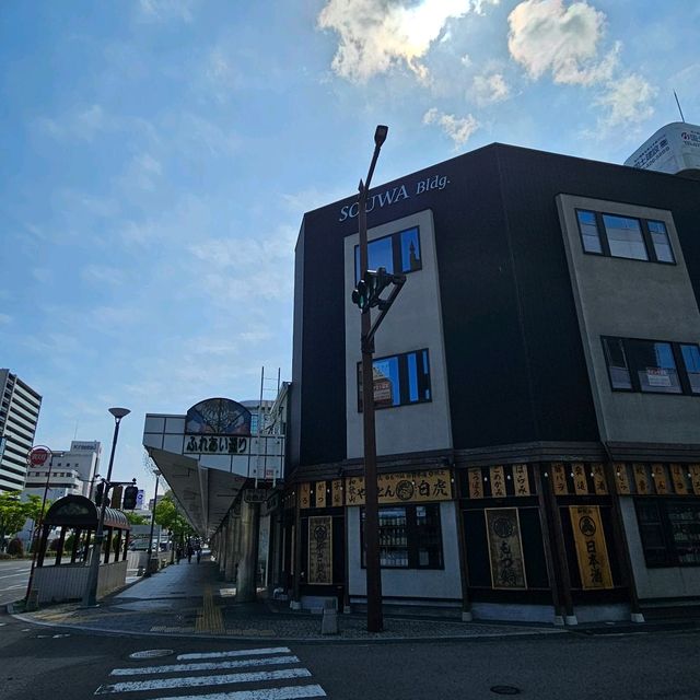 🪷春夏之鄉 - 和歌山市3日遊